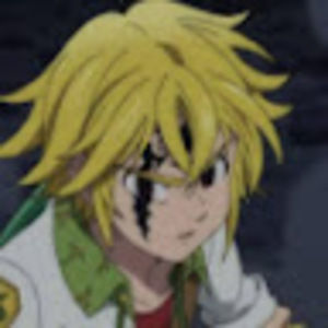 Meet your Posher, Okester